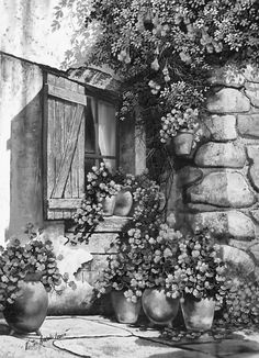 black and white photograph of flowers growing in pots on the side of a stone building