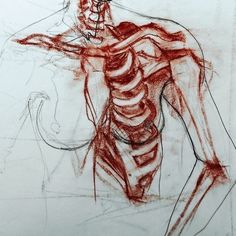 a drawing of a man's torso and arm with muscles drawn in red ink