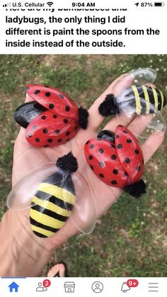 three ladybugs sitting on top of each other in the palm of someone's hand