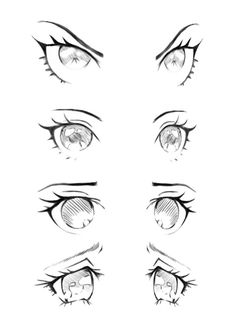 an eye with different types of eyes