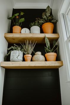 three wooden shelves filled with potted plants