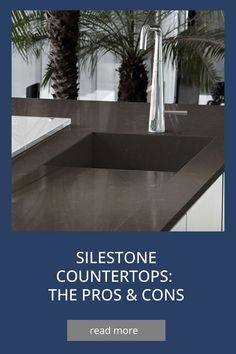 a kitchen counter top with the words silestone countertops, the pros and cons