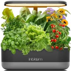 an illuminated garden box filled with fresh vegetables