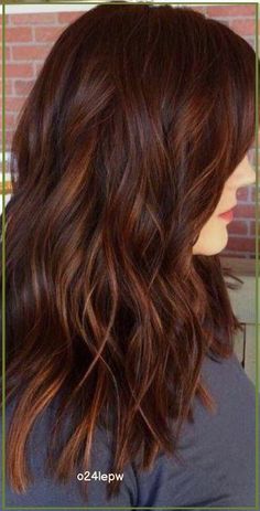 Dark Auburn Hair, Brown Ombre Hair, Hair Color Auburn, Red Highlights, Dark Brown Hair Color, Trendy Hair Color, Hair Brown