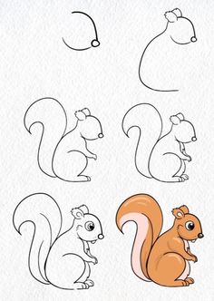 an image of squirrels with different shapes