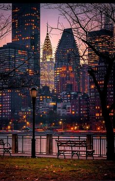 the city skyline is lit up at night, with benches and trees in the foreground