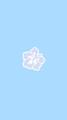 a white flower on a blue background