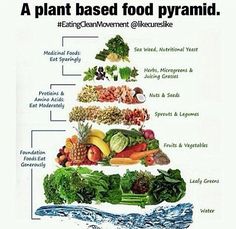 raw food pyramid labeled in all the different types of vegetables, fruits and veggies