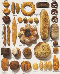 an assortment of breads and pastries displayed on a white surface with words describing them