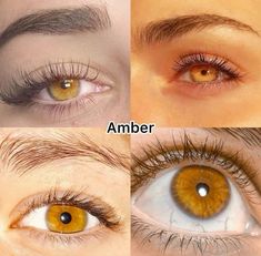 Amber Yellow Eyes, Blue And Amber Eyes Heterochromia, Amber Eyes Blonde Hair, Eye Type Shape, Makeup For Amber Eyes, Amber Eyes Makeup, Amber Eyes Aesthetic, Caramel Eyes