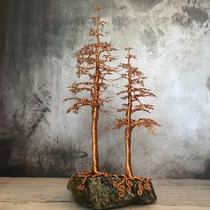 a small tree sitting on top of a rock next to a gray wall and floor