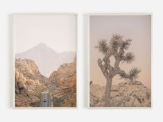 two framed photographs of mountains and a desert road with a car driving down the road