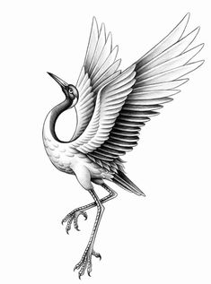 a black and white drawing of a bird with its wings spread out, flying in the air