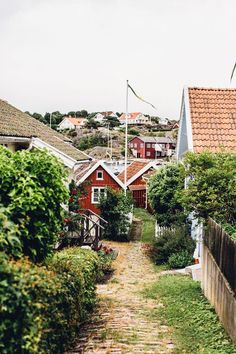 an alley way with houses and flags on the top of each house, surrounded by greenery