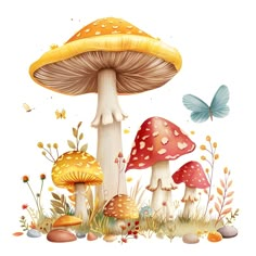 a group of mushrooms and butterflies in the grass