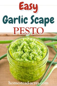 homemade pesto recipe in a jar with the title overlay reading easy garlic scape pest