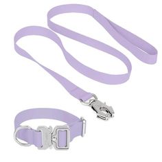 a purple leash with two metal buckles