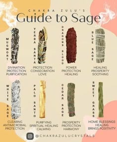 Helpful sage guide : occult Witch Herbs, Sage Smudge, Magical Herbs