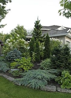 a house with trees and bushes in the front yard