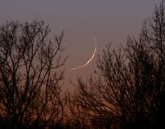 an airplane is flying in the sky over some trees at sunset or dawn, with one half moon visible