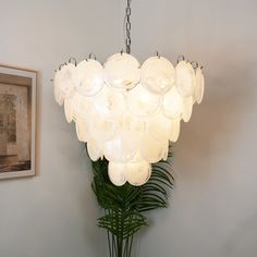 a chandelier hanging from the ceiling next to a potted plant and framed photograph