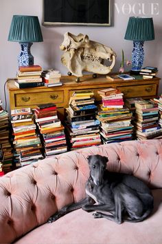 a dog laying on top of a pink couch next to a table filled with books