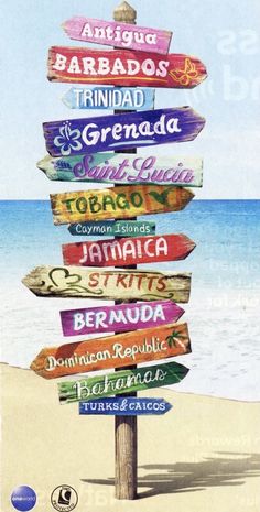 a wooden sign post with many different colored signs on it's side in front of the ocean