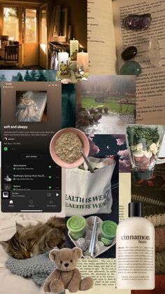 a collage of photos with cats, books and other things in them including a teddy bear