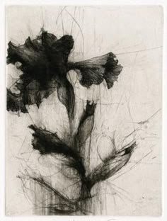 a black and white drawing of a flower