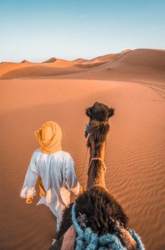 two people riding camels in the desert