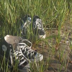 two pairs of shoes sitting in tall grass