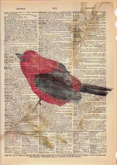 a red bird sitting on top of an old book page with words written in it