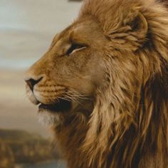 a large lion standing next to a body of water