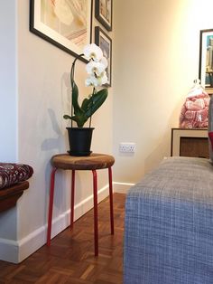 a room with a couch, table and flower pot on the floor in front of it