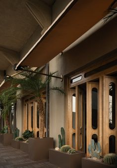 the entrance to a building with cactus and cacti in pots on the sidewalk