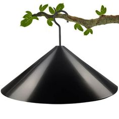 a black lamp hanging from a tree branch with green leaves on it's tip