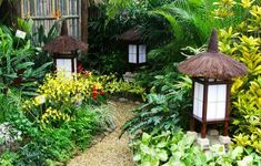 a garden with lots of plants and lights