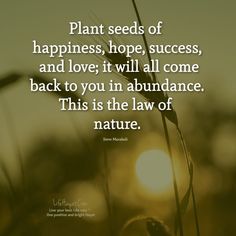 a quote about plant seeds that says, plant seeds of happiness, hope, success and love it will all come back to you in abundance this is the law of nature