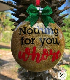 a christmas ornament that says nothing for you is shown with pine cones on it