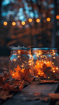 three mason jars filled with lights sitting on top of leaf covered ground next to trees