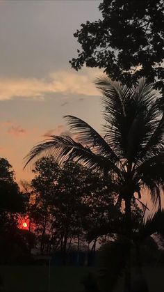 the sun is setting behind some palm trees