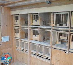 a room filled with lots of bird cages in it's walls and shelves next to each other