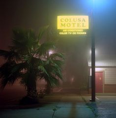 a motel sign in front of a palm tree on a foggy street at night