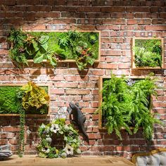 a brick wall with several different types of plants in wooden frames on it and an old chair next to it