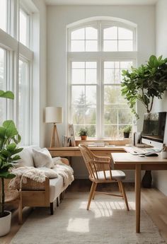 a living room filled with furniture and lots of windows next to a plant on top of a wooden table