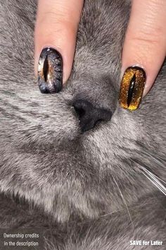 #BEAUTY ,#REALATIONSHIPS #Fashion #Outfits #Winter Outfits #Animals Short Cat Eye Nails, Chrome Nails Short, Cowgirl Nails, Peacock Nail Art, Short Cat, Peacock Nails, Tiger Nails, Horror Nails, August Nails