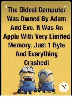 two minion characters with the caption that reads, the oldest computer was owned by adam and eve it was an apple with very limited memory