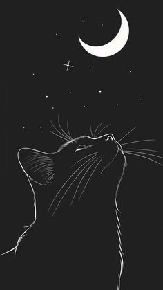 a black and white drawing of a cat looking up at the moon