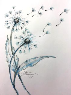 a drawing of a dandelion blowing in the wind