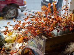 a wooden crate filled with lots of red berries next to pumpkins and gourds